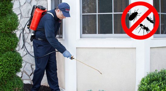 Çukurca Haşere İlaçlama böcek ilaçlama ve haşere kontrolü — ilaclama-tr.com